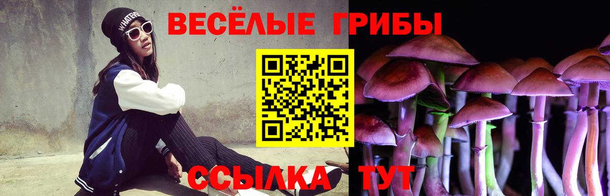 Троицк  Галлюциногенные грибы Psilocybe  Галлюциногенные грибы Psilocybine cubensis  Вход с VPN 
